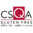 logo-csqa